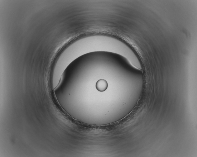 X0000114420399200911061626