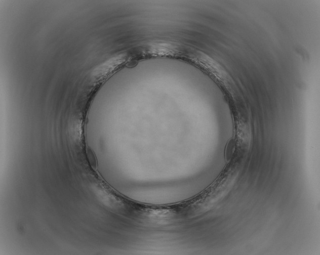 X0000114420401200911061626