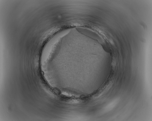 X0000114420402200911061626
