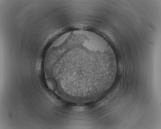 X0000114420404200911061626