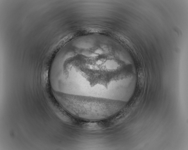 X0000114420406200911061626