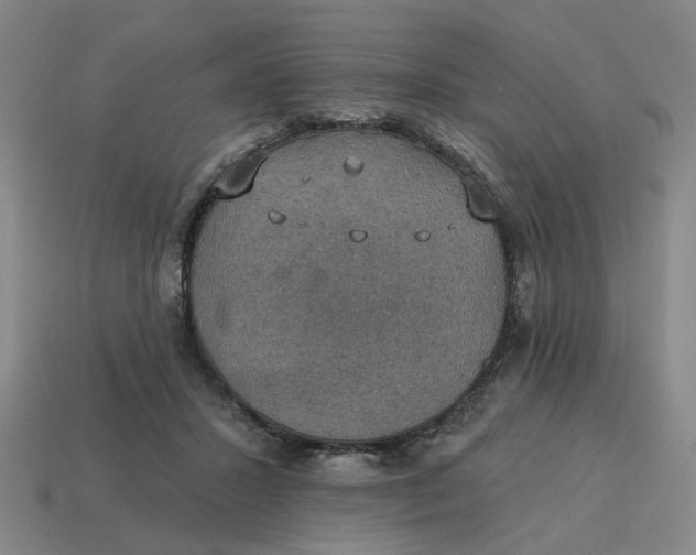 X0000114420407200911061626