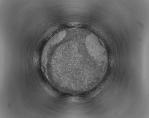 X0000114420408200911061626