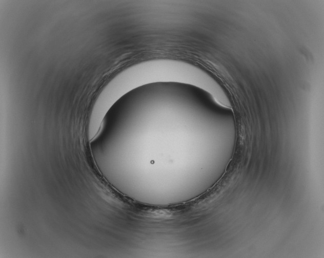 X0000114420409200911061626