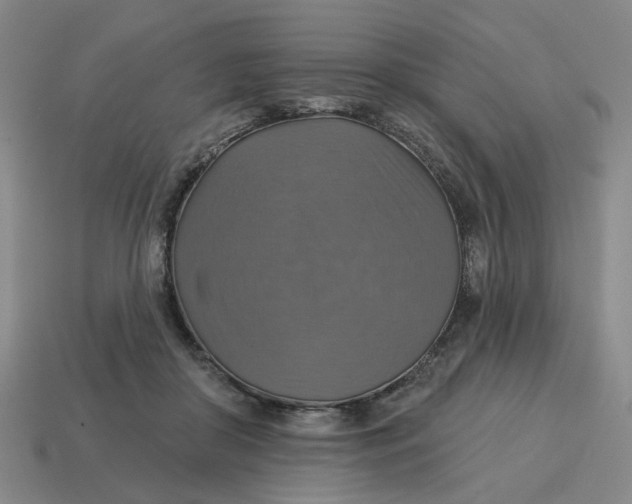X0000114420410200911061626