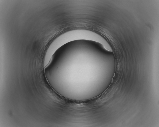 X0000114420411200911061626