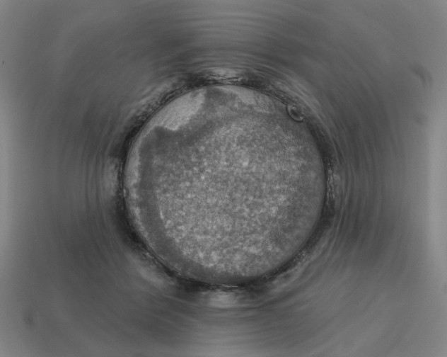 X0000114420412200911061626