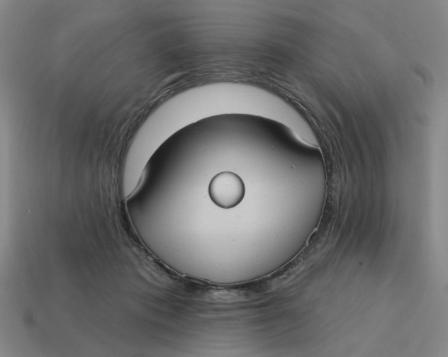 X0000114420413200911061626