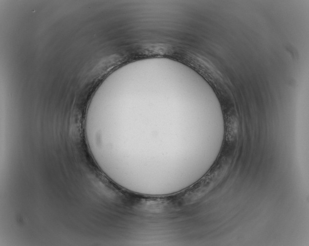X0000114420414200911061626