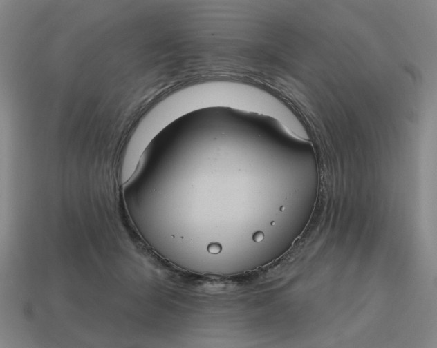X0000114420415200911061626
