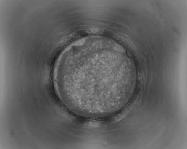X0000114420416200911061626