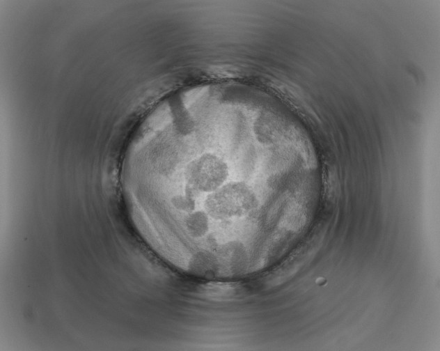 X0000114420418200911061626