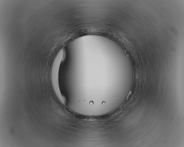 X0000114420419200911061626