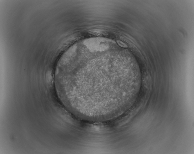 X0000114420420200911061626