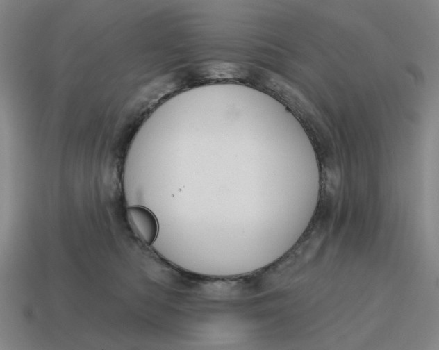 X0000114420422200911061626