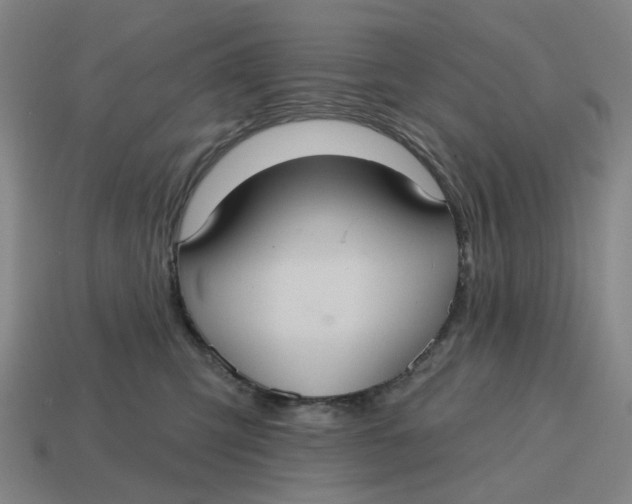 X0000114420423200911061626