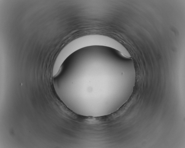 X0000114420425200911061626