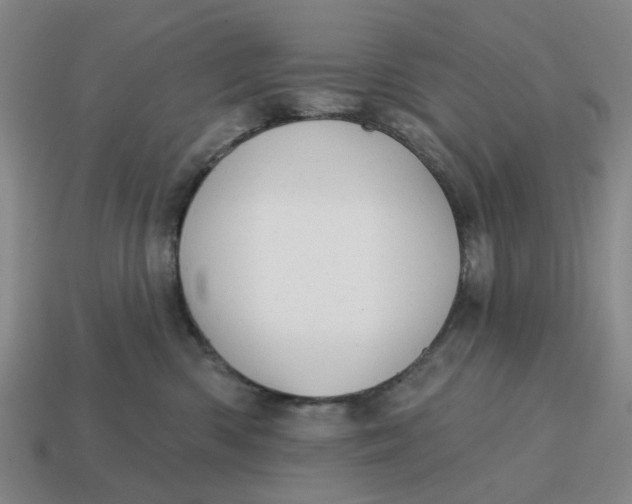 X0000114420426200911061626