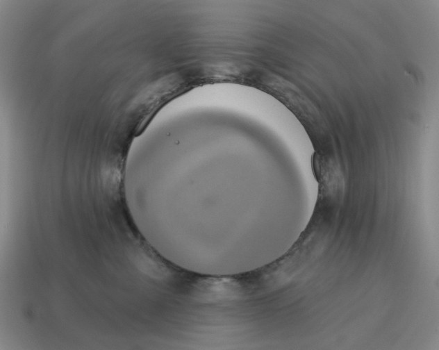 X0000114420427200911061626