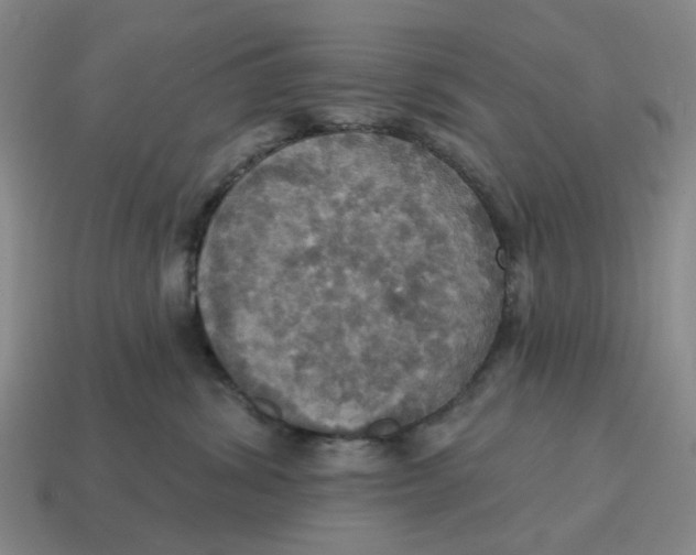 X0000114420428200911061626