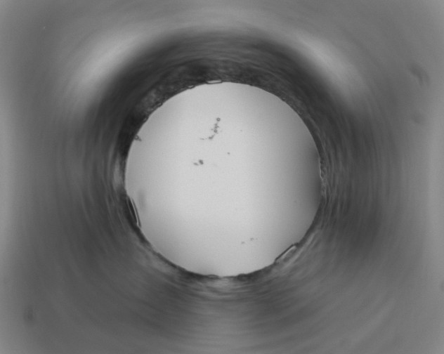 X0000114420431200911061626