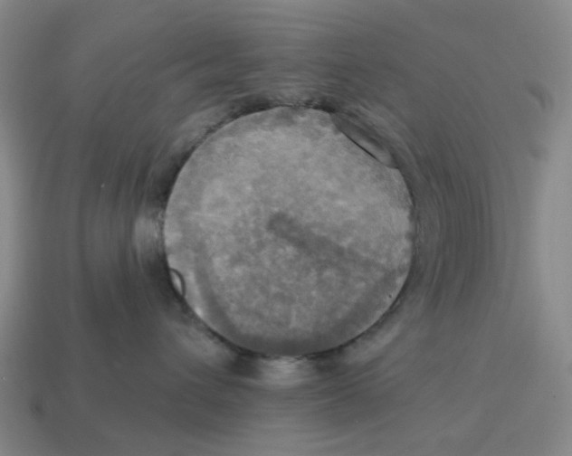 X0000114420432200911061626