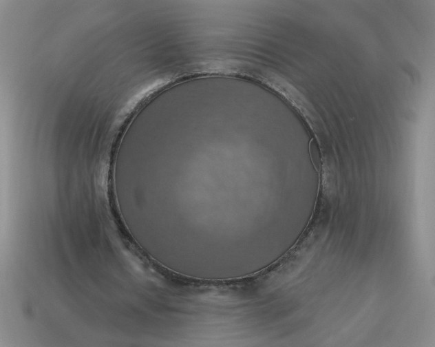 X0000114420434200911061625