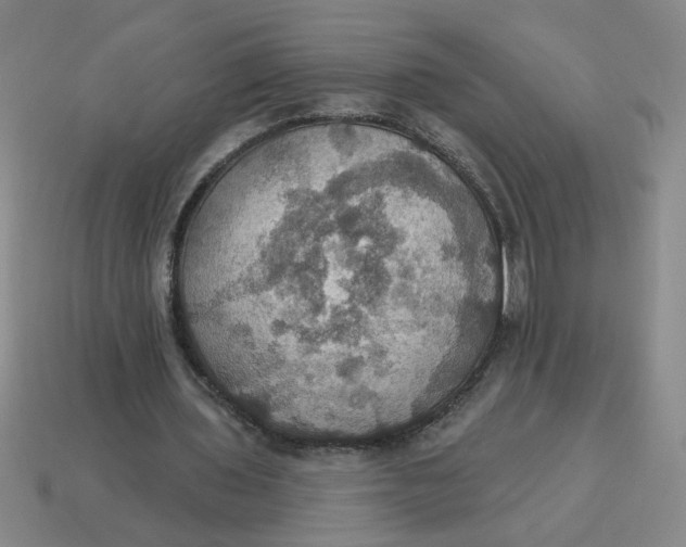 X0000114420435200911061625