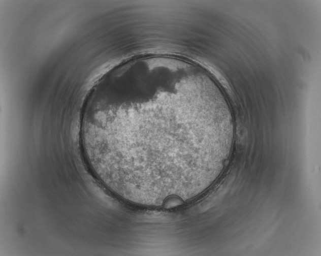 X0000114420437200911061625