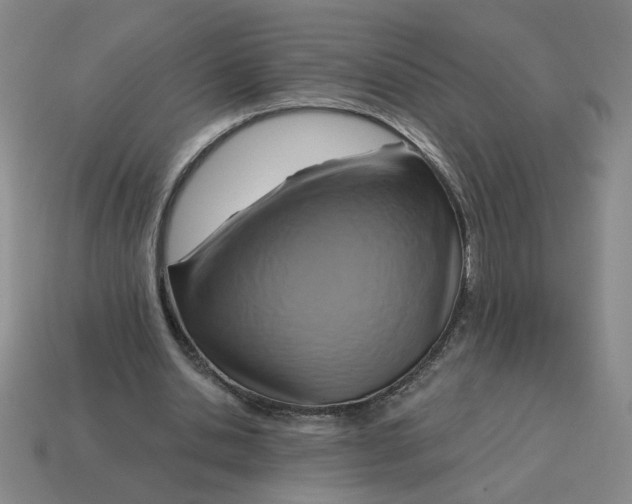 X0000114420438200911061625