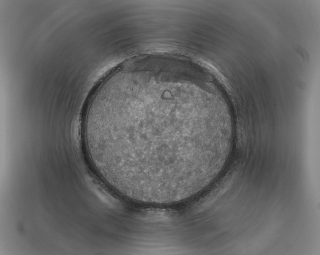 X0000114420439200911061625
