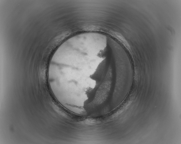 X0000114420441200911061625