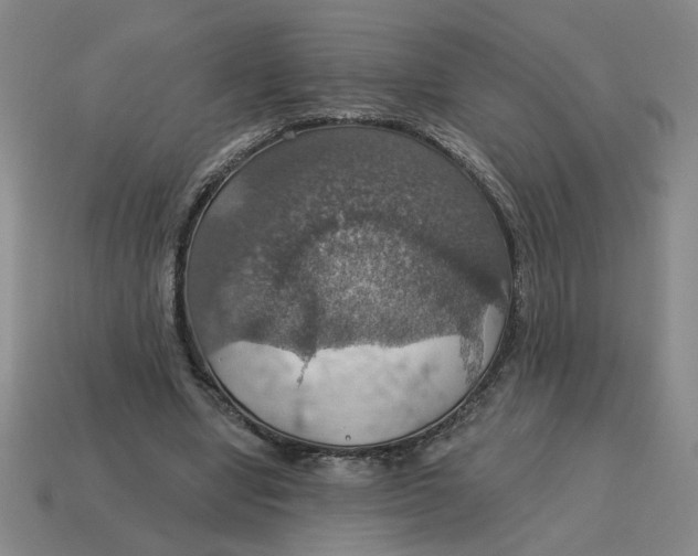 X0000114420442200911061625
