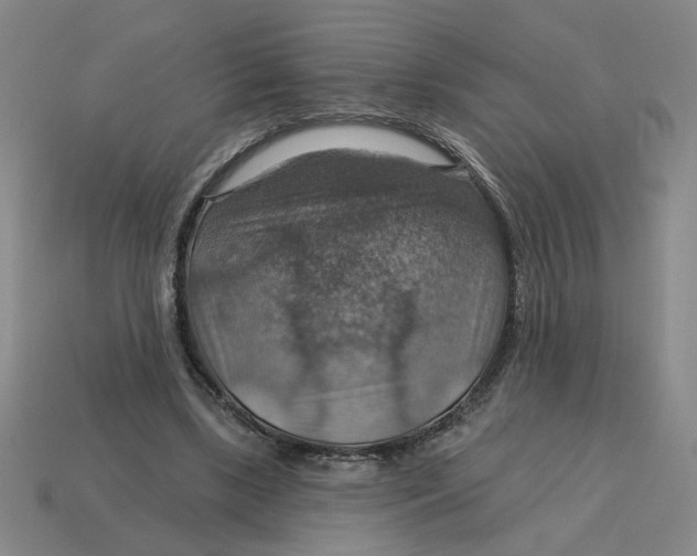 X0000114420443200911061625