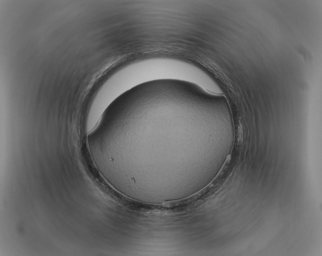 X0000114420444200911061626