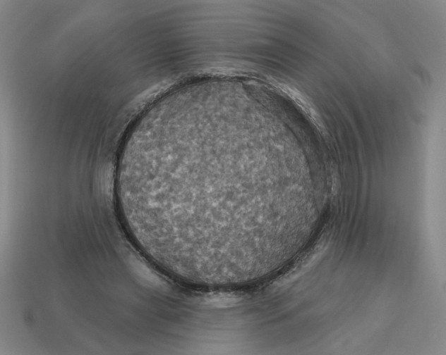 X0000114420445200911061626