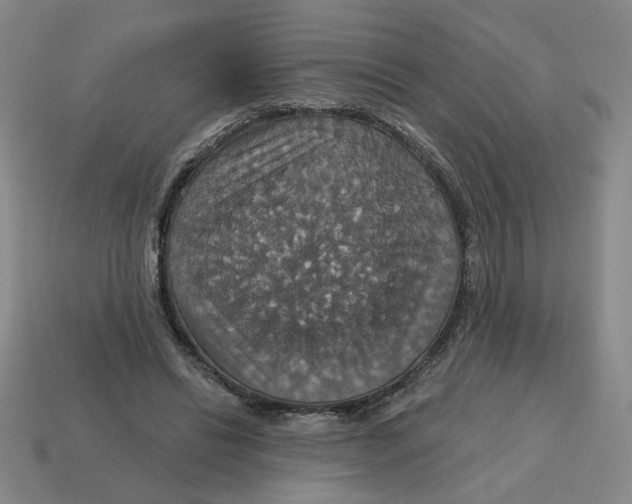 X0000114420446200911061626