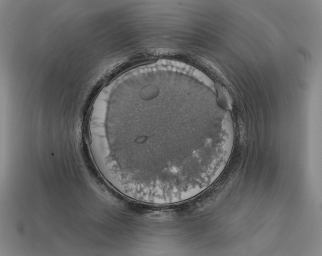 X0000114420447200911061626