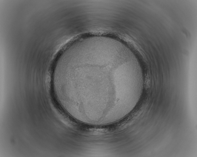 X0000114420448200911061626