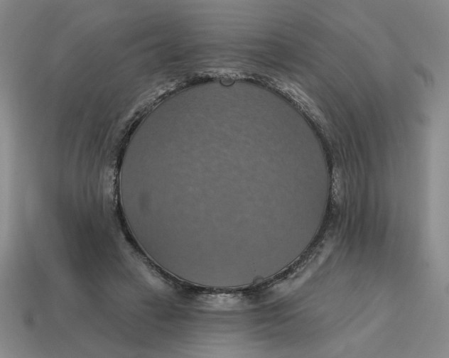 X0000114420449200911061626