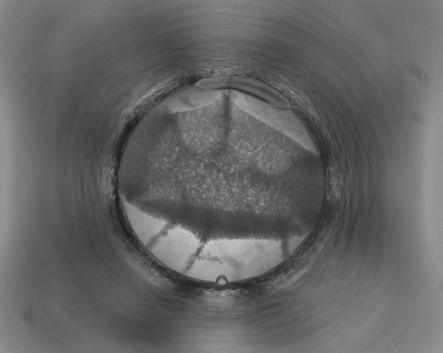 X0000114420450200911061626
