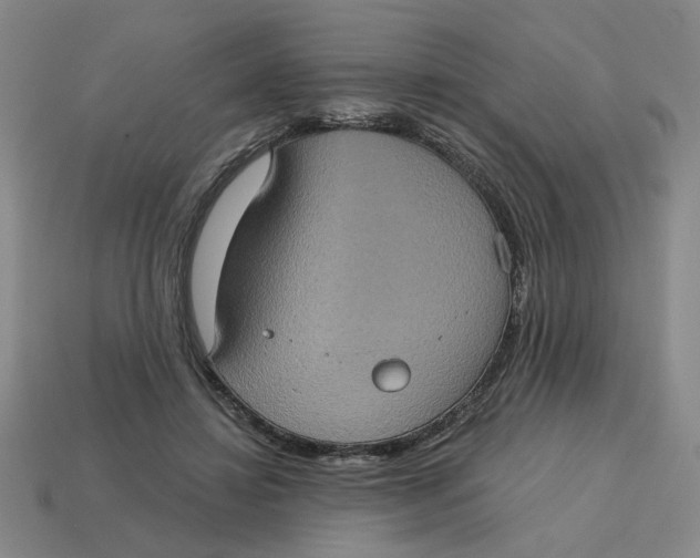 X0000114420452200911061626