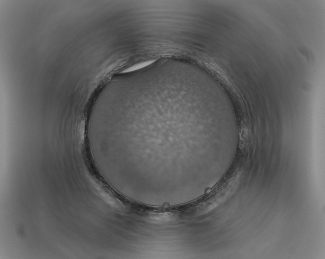 X0000114420454200911061626