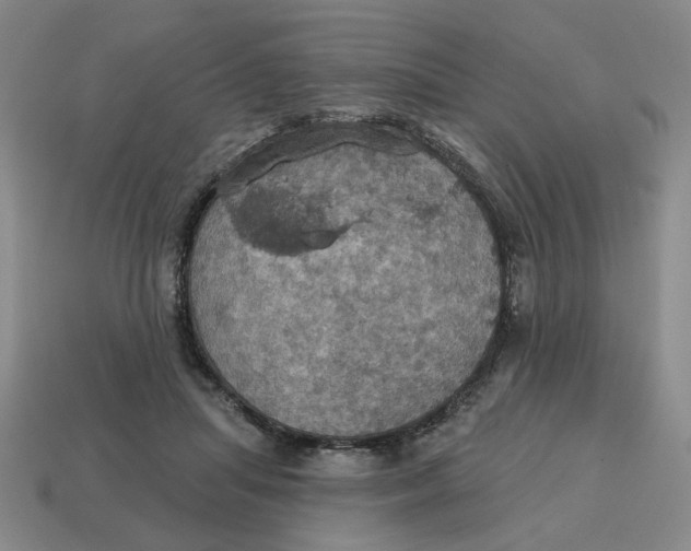 X0000114420455200911061626