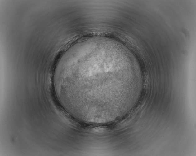 X0000114420456200911061626