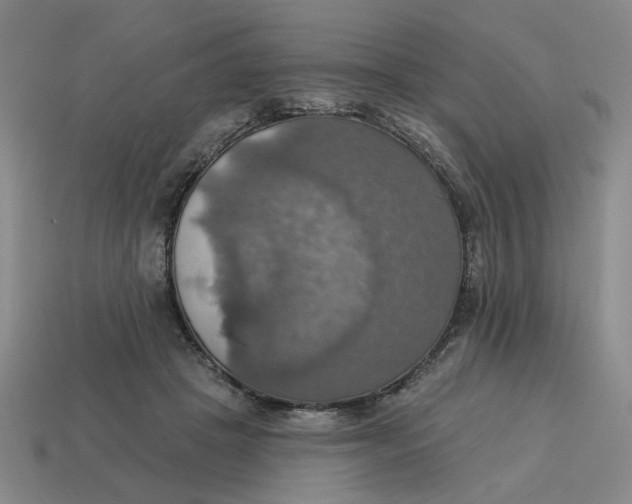 X0000114420457200911061626