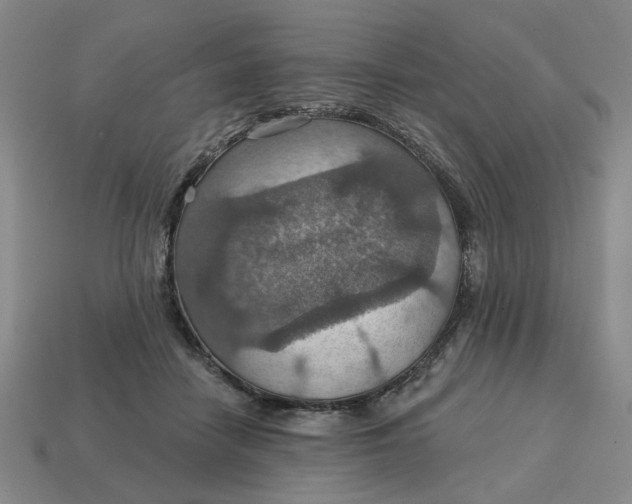 X0000114420458200911061626