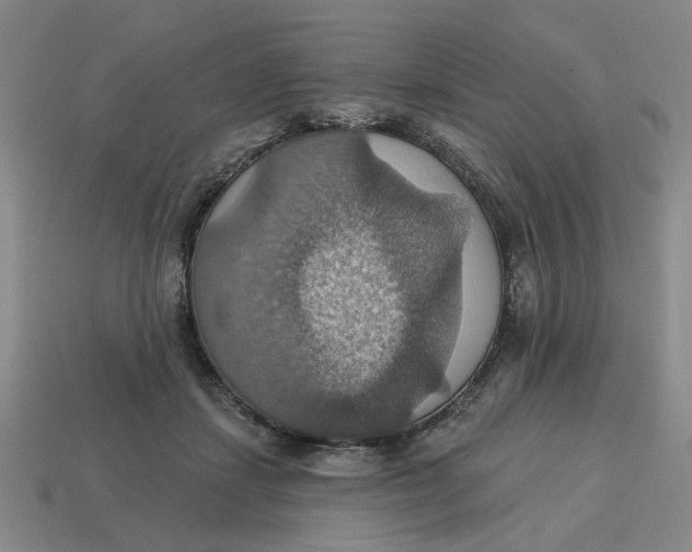 X0000114420459200911061626