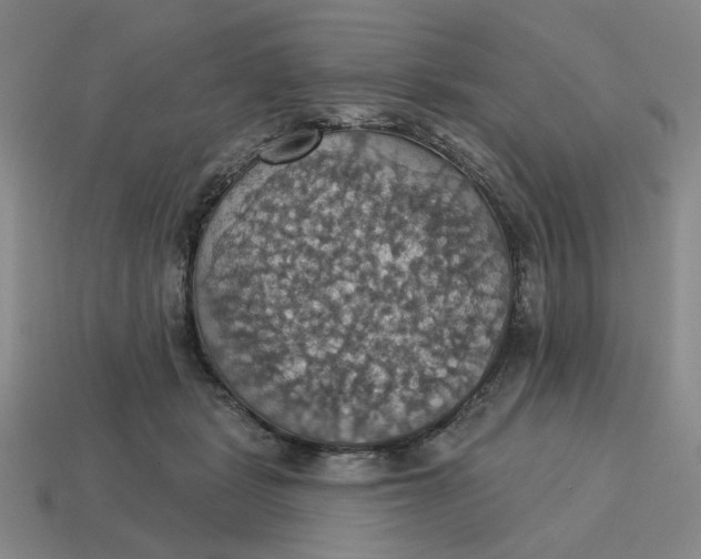 X0000114420461200911061626
