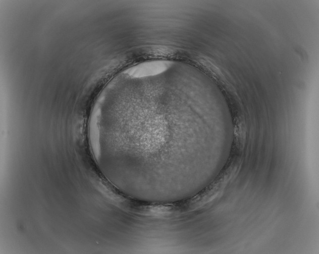 X0000114420462200911061626